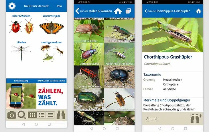 NABU Insektenwelt App Screenshot